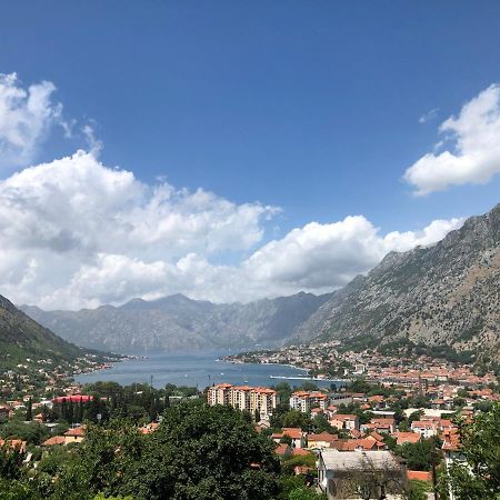 Apartman Savo Kotor Kültér fotó